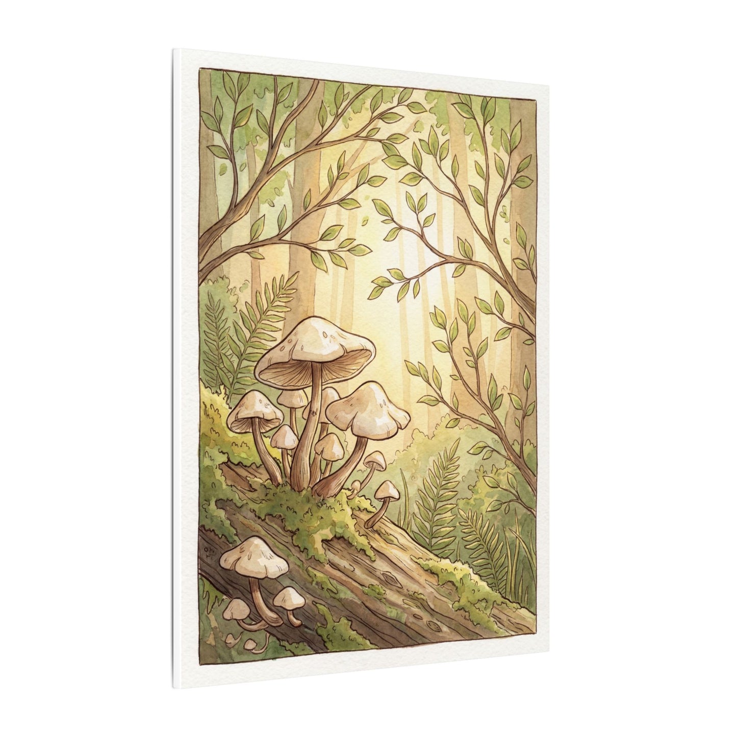 Spring Wild Mushrooms Mushroom Illustration Canvas Art | Cozy Decor
