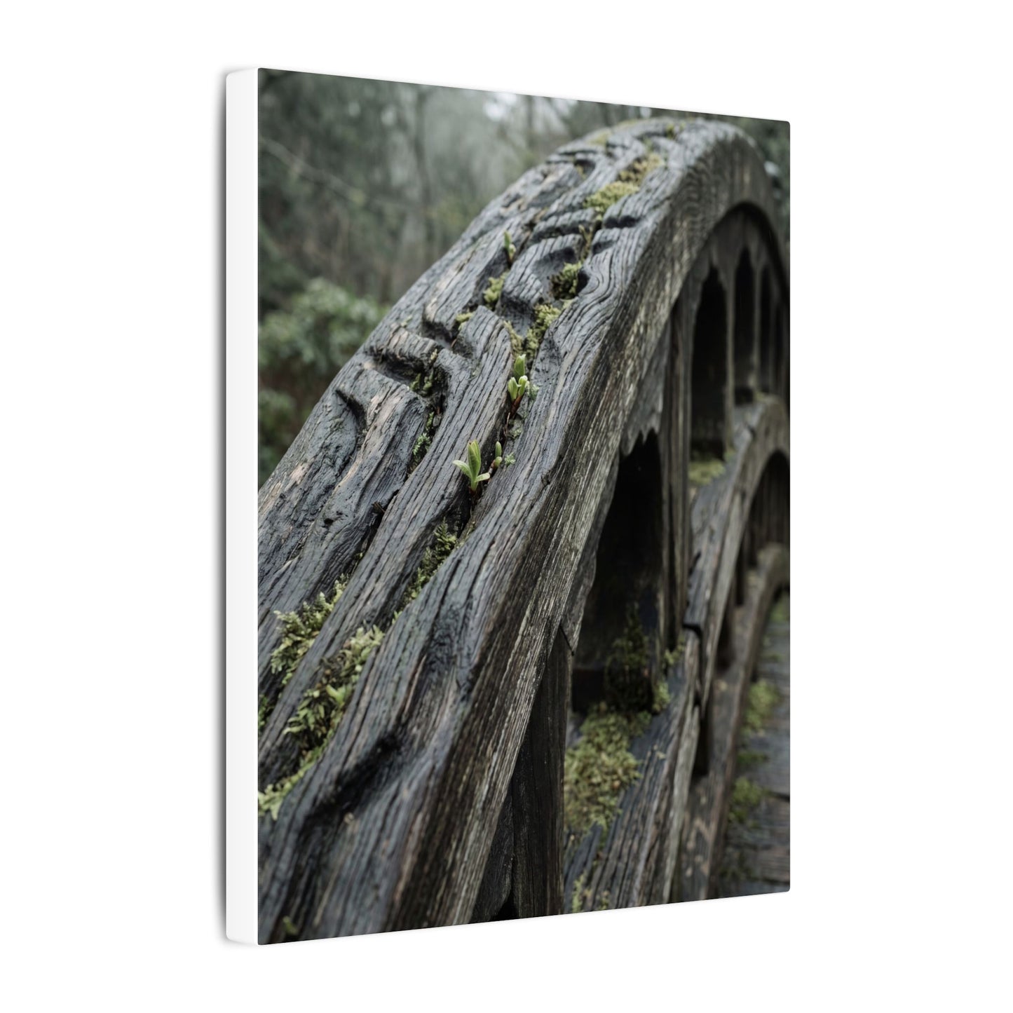 Overcast Wooden Bridge Canvas Art - Japandi Kanso