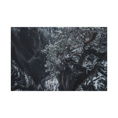 Dark Japandi Pine Tree in Dappled | Dark Texture Canvas Art