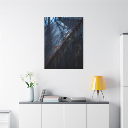 Rust Patina Canvas Art | Spring Dark Japandi Shadow Zen Art