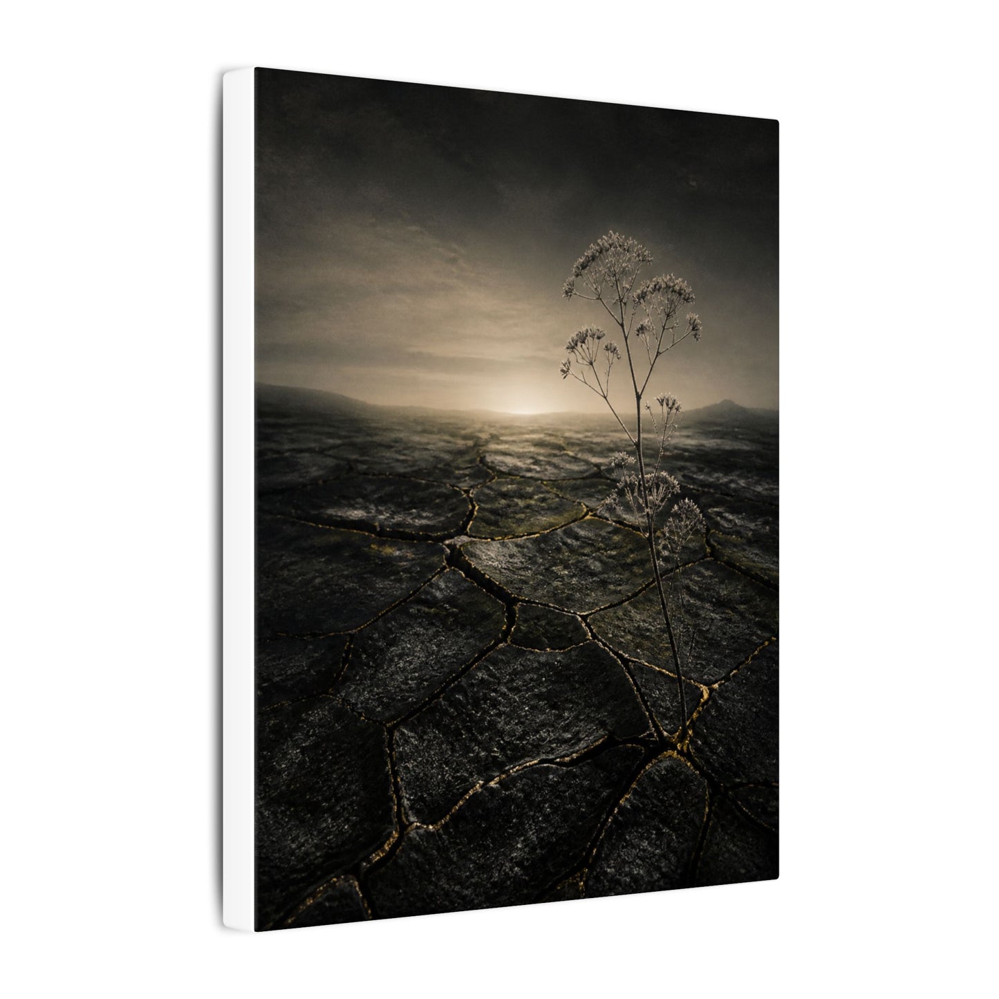 Dawn Cracked Earth Canvas Art - Dark Japandi Mono No Aware
