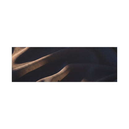 Silk Drape Shadow Zen Canvas Art | Luxurious Dark Japandi Art