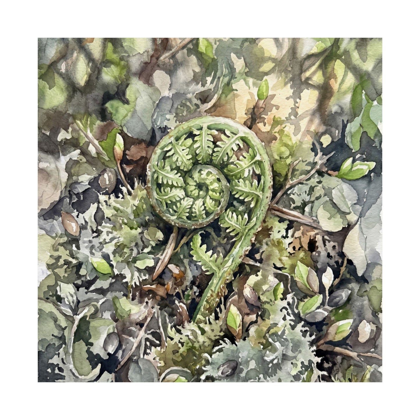 Dappled Fern Unfurling Wall Art Print - Japandi Shibui