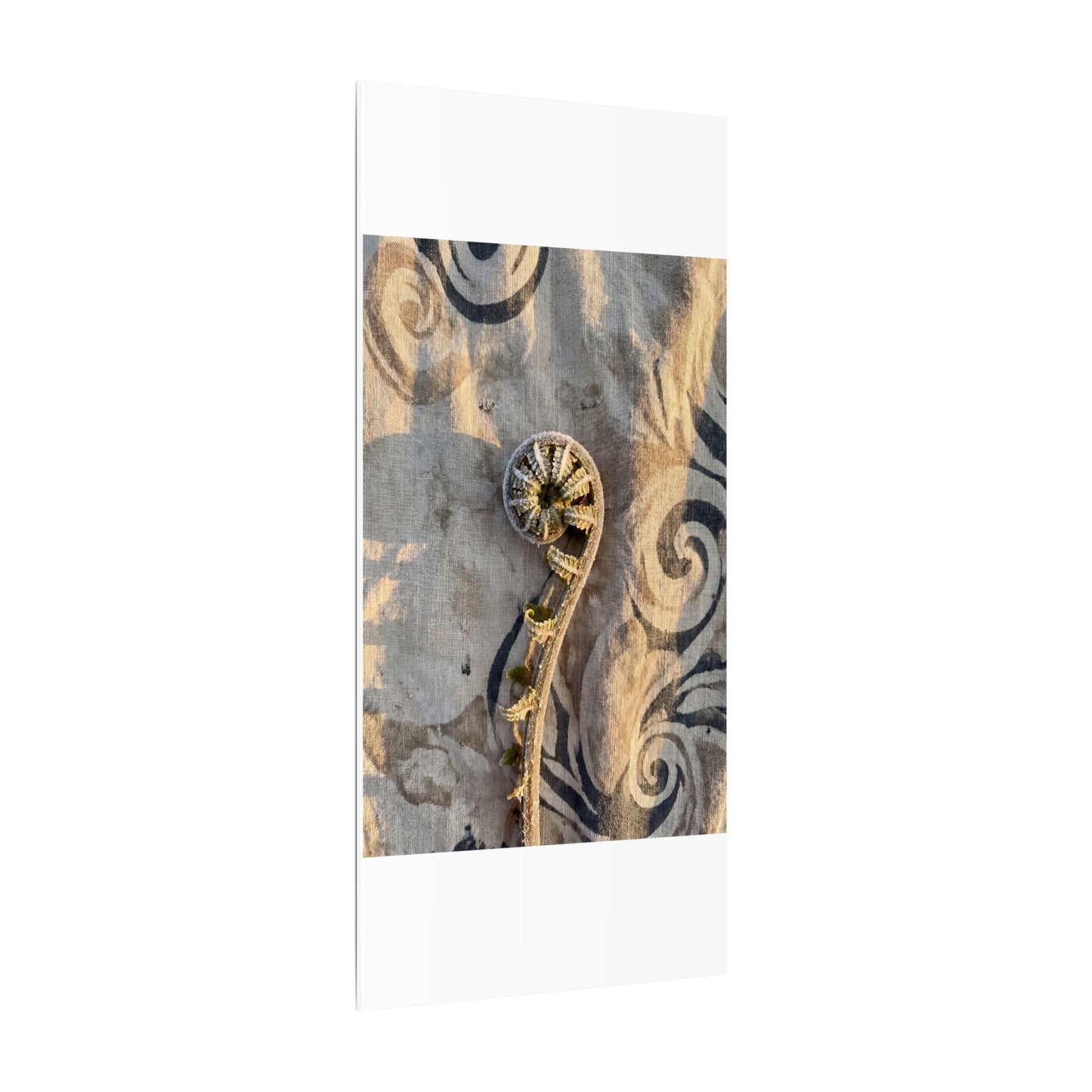 Fern Unfurling Canvas Art | Winter Japandi Japanese Pattern Art