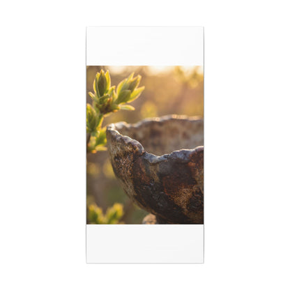 Golden Hour Ceramic Bowl Canvas Art - Dark Japandi Ma