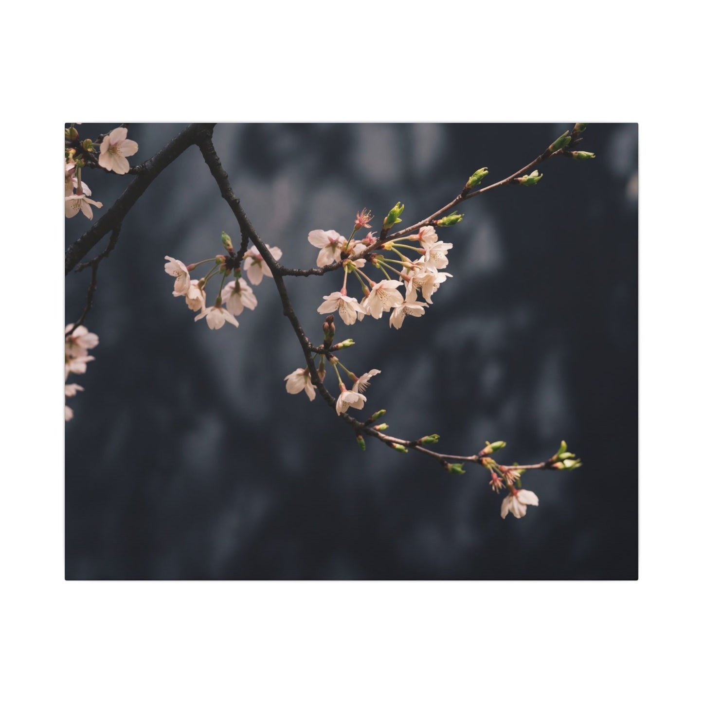 Cherry Blossom Moody Minimal Canvas Art | Bold Dark Japandi Art