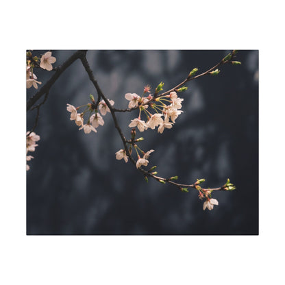 Cherry Blossom Moody Minimal Canvas Art | Bold Dark Japandi Art