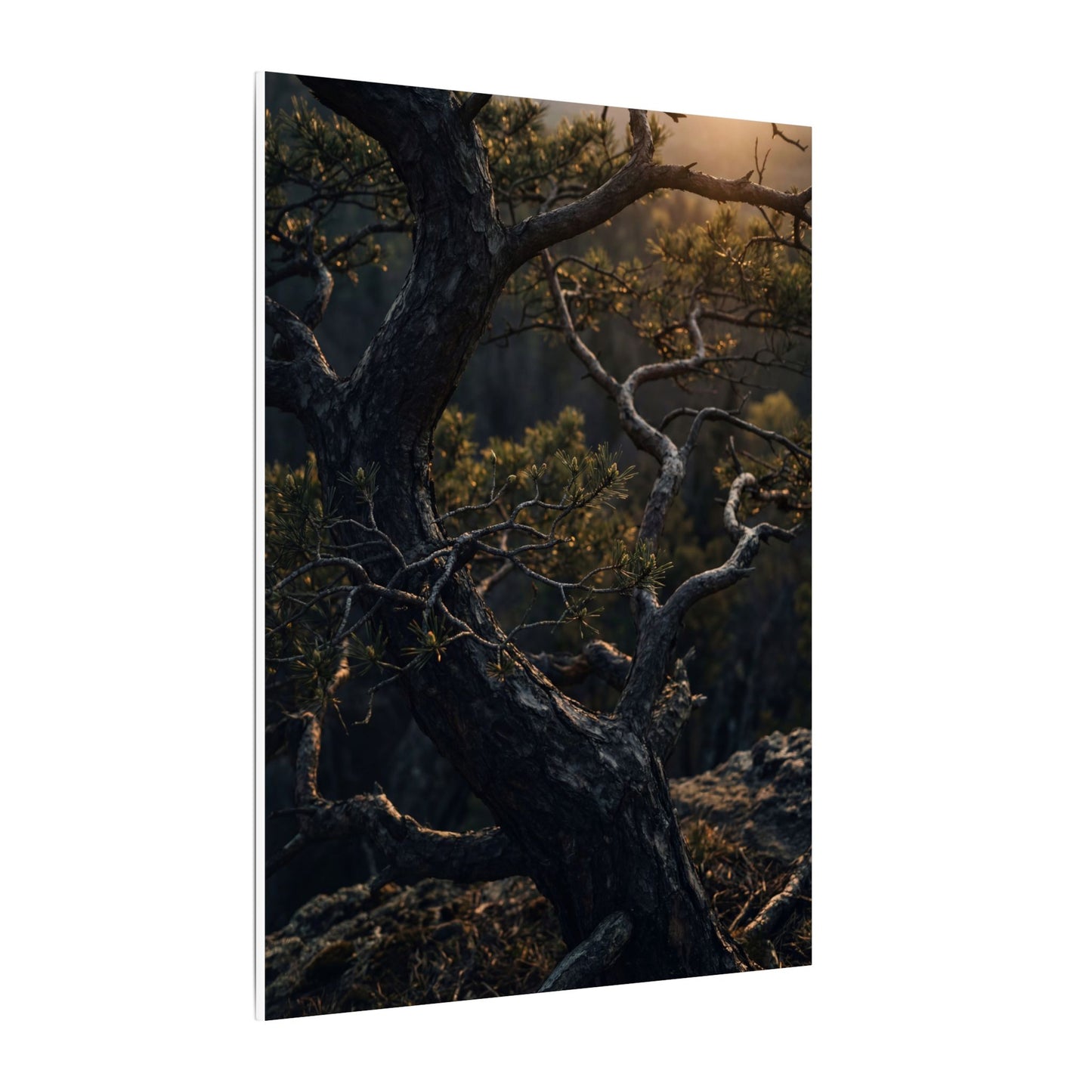 Moody Pine Tree Canvas Art - Moody Minimal Dark Japandi