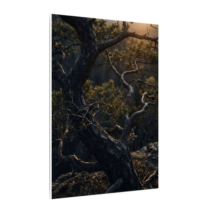 Moody Pine Tree Canvas Art - Moody Minimal Dark Japandi