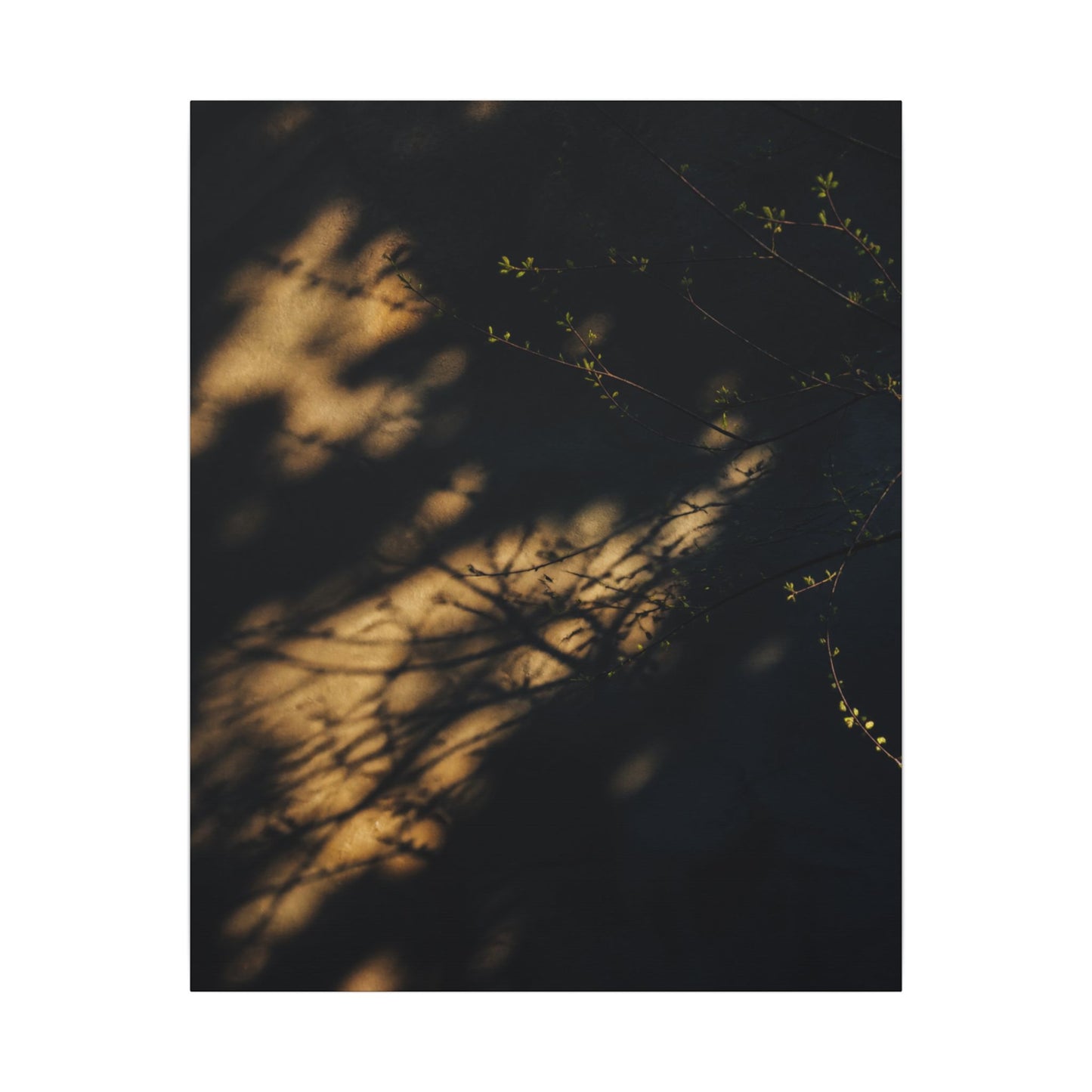 Moody Shadow Play Canvas Art - Moody Minimal Dark Japandi