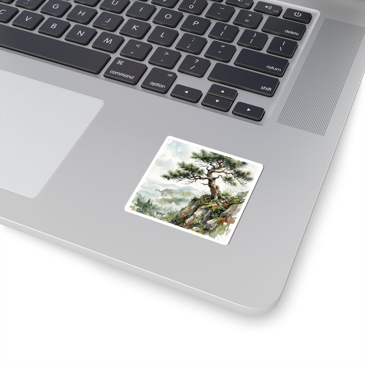 Pine Tree Sticker | Spring Japandi Watercolor Art