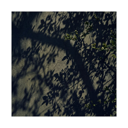 Shadow Play Moody Minimal Wall Art Print | Atmospheric Dark Japandi Art