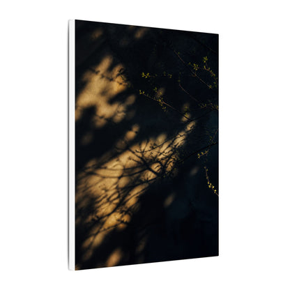 Moody Shadow Play Canvas Art - Moody Minimal Dark Japandi