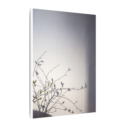 Japandi Shadow Play in Dawn | Japanese Pattern Canvas Art