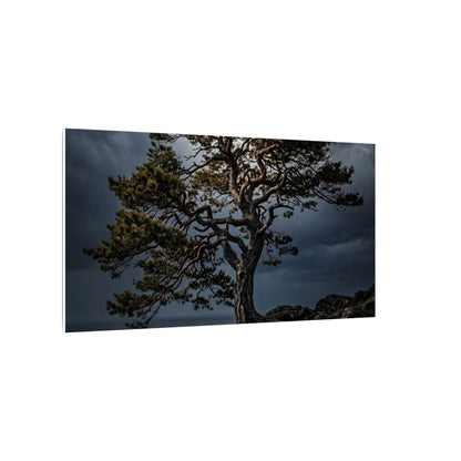 Dappled Pine Tree Canvas Art - Dark Japandi Fukinsei