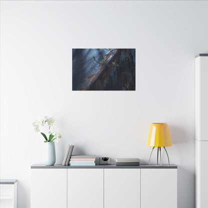 Rust Patina Canvas Art | Spring Dark Japandi Shadow Zen Art