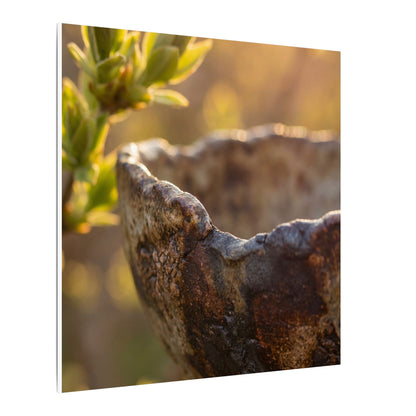 Golden Hour Ceramic Bowl Canvas Art - Dark Japandi Ma