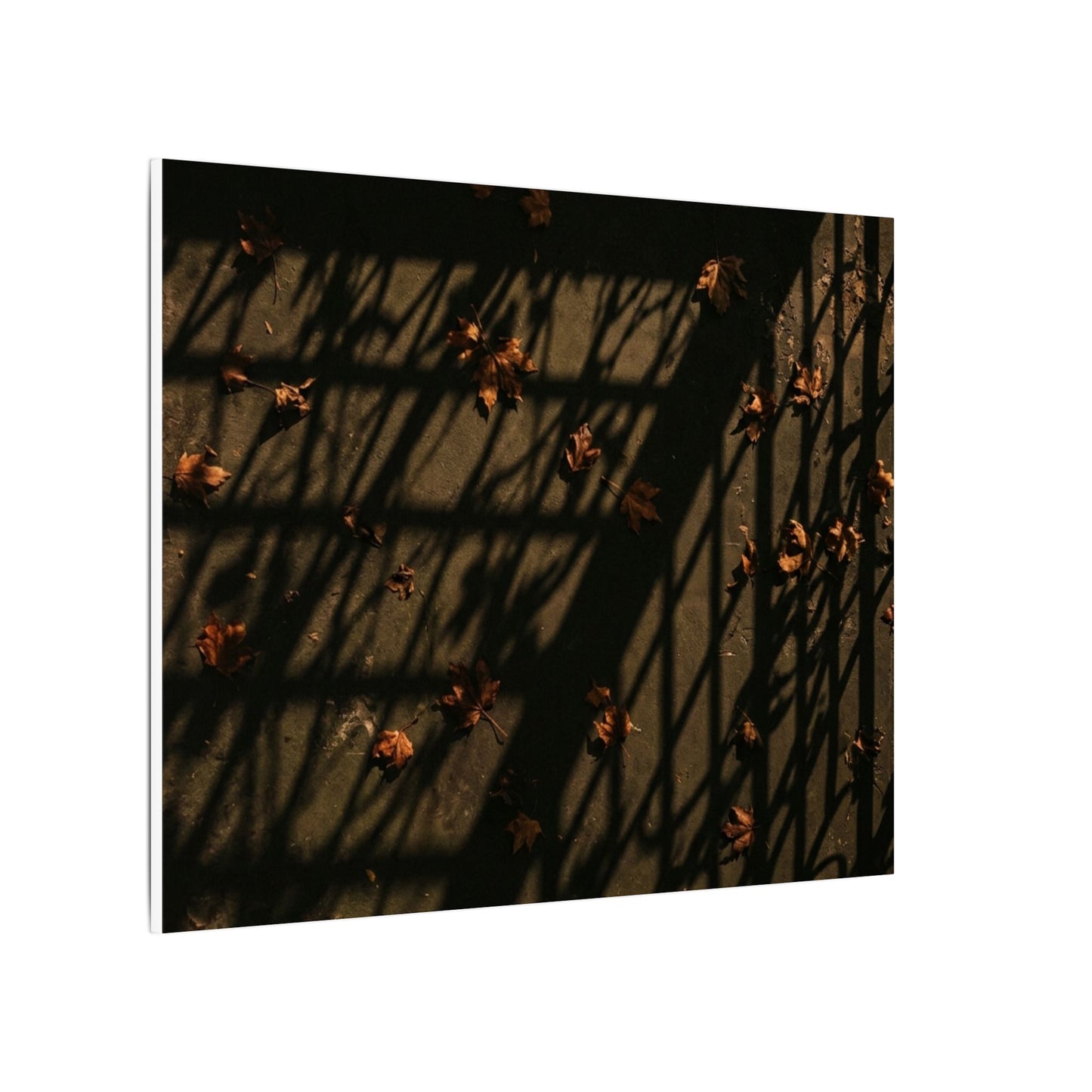 Dark Japandi Shadow Play in Golden Hour | Moody Minimal Canvas Art