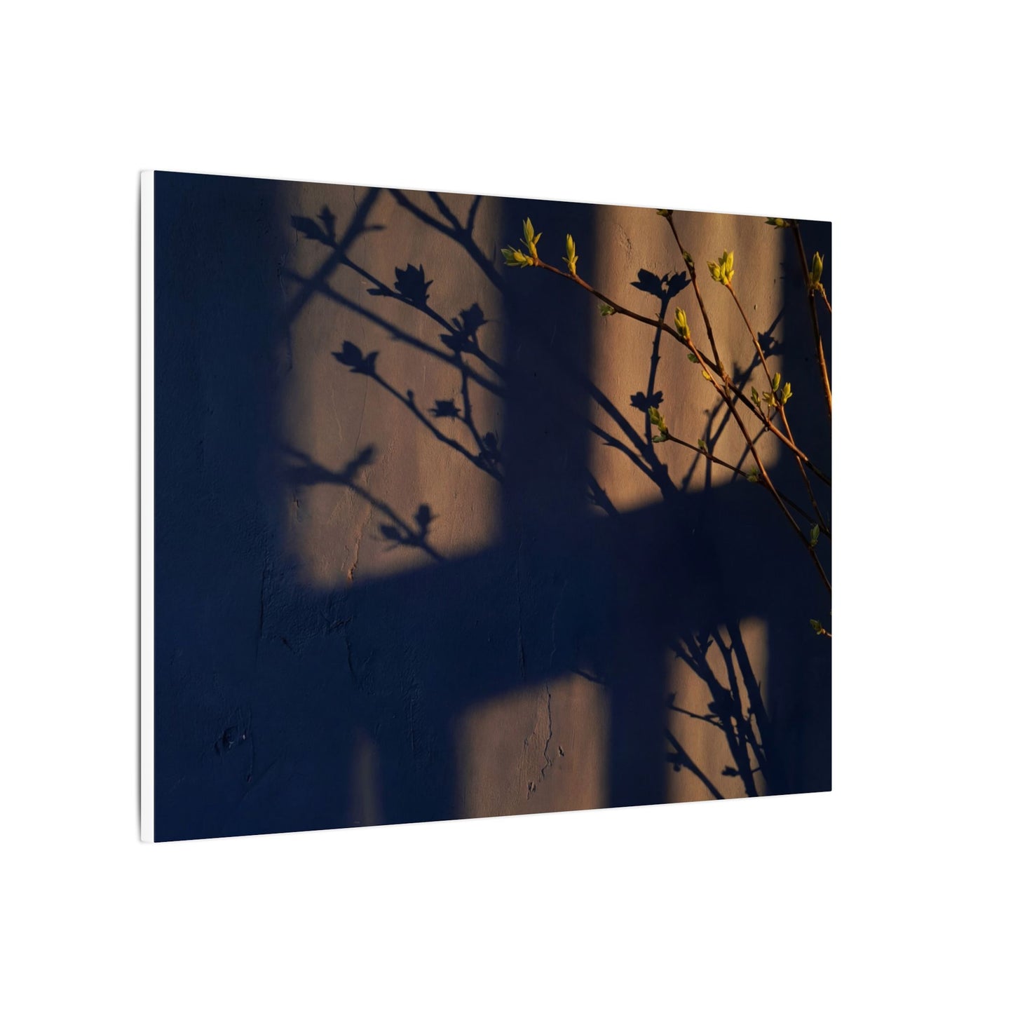 Shadow Play Canvas Art | Spring Dark Japandi Shadow Zen Art