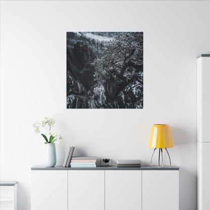 Dark Japandi Pine Tree in Dappled | Dark Texture Canvas Art