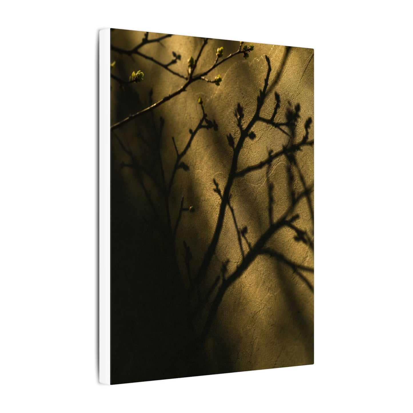 Golden Hour Shadow Play Canvas Art - Dark Japandi Seijaku