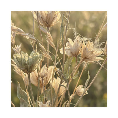 Summer Dried Flowers Minimal Line Canvas Art | Cozy Decor