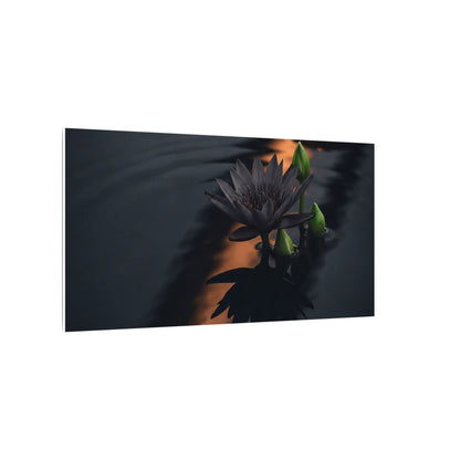 Seijaku Lotus Flower Canvas Art - Dark Japandi Shadow Zen