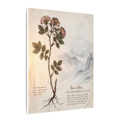Winter Mountain Mist Herbarium Canvas Art | Earthy Decor