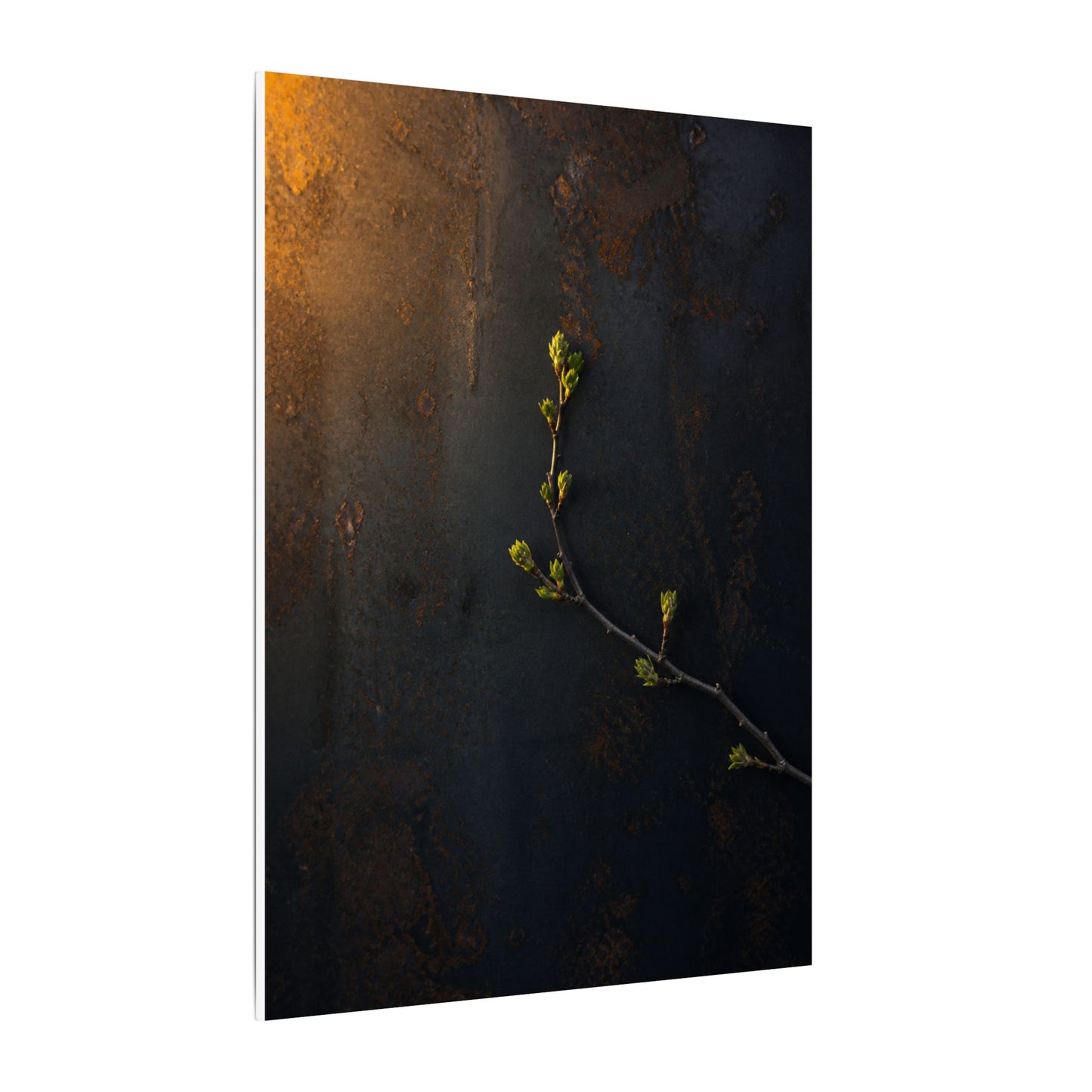 Dark Japandi Rust Patina in Golden Hour | Moody Minimal Canvas Art