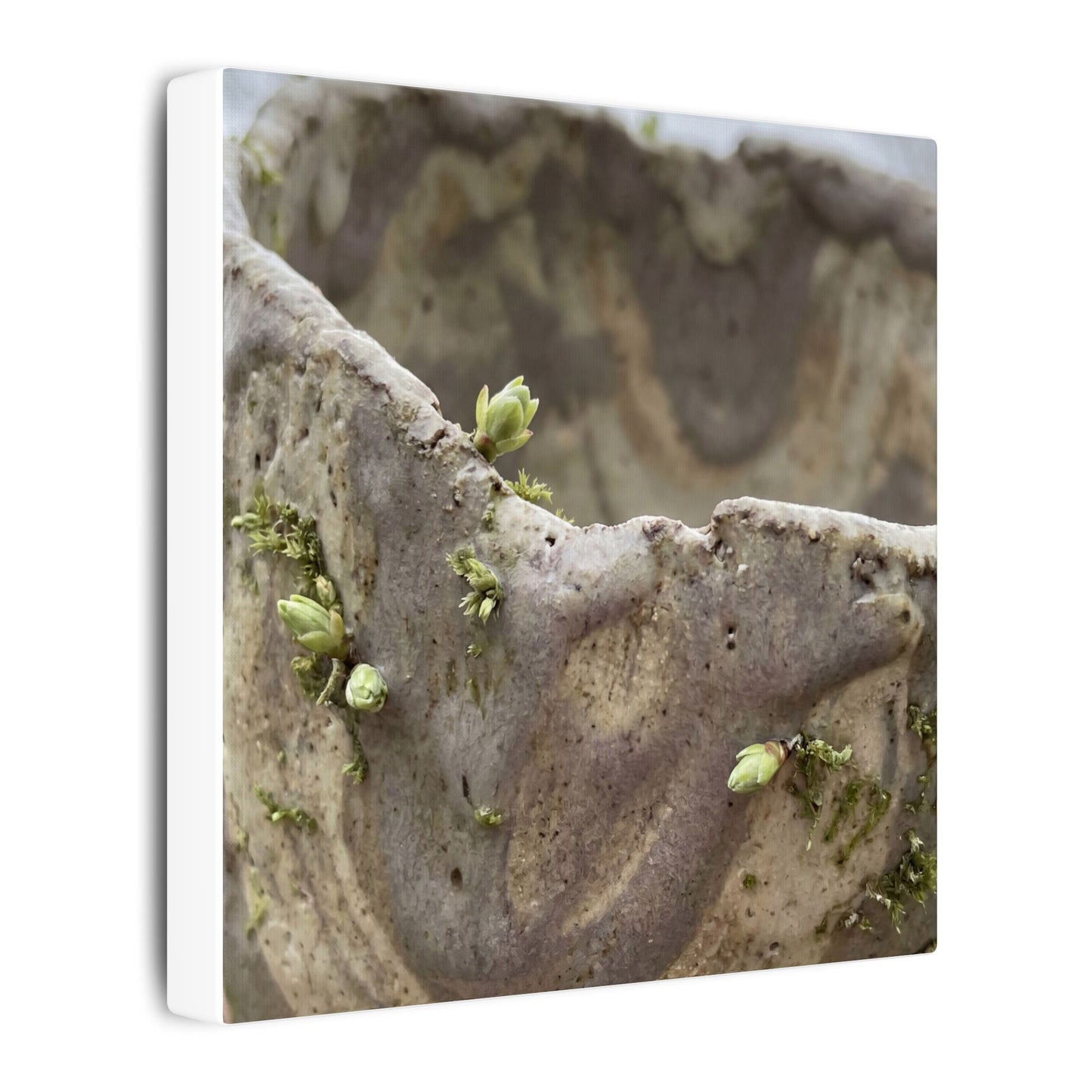 Overcast Ceramic Bowl Canvas Art - Japandi Fukinsei