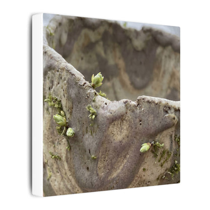 Overcast Ceramic Bowl Canvas Art - Japandi Fukinsei