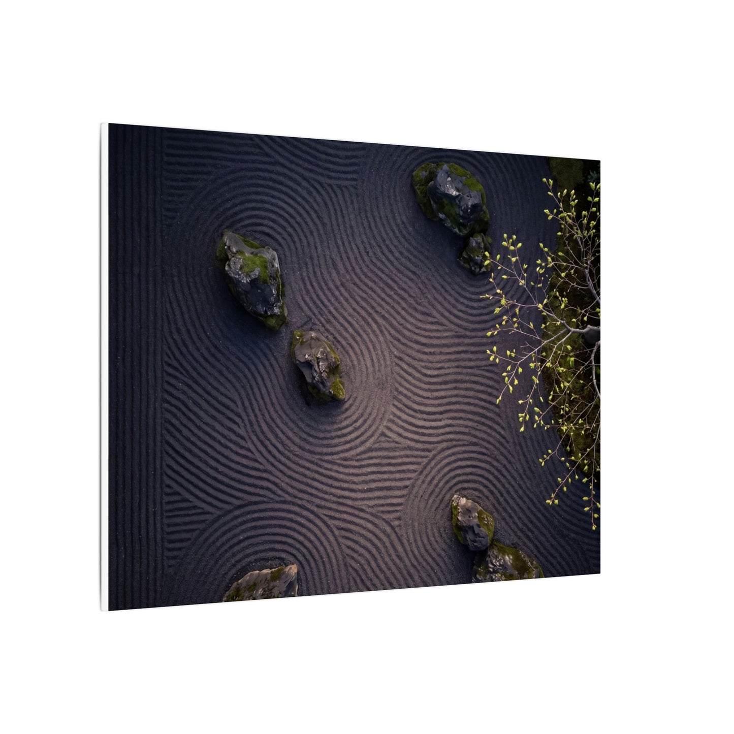 Dark Japandi Rock Garden in Dawn | Shadow Zen Canvas Art