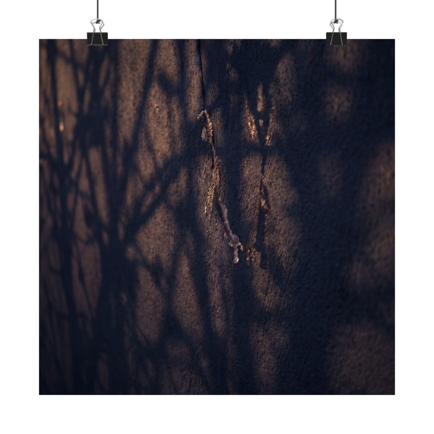 Golden Hour Shadow Play Wall Art Print - Dark Japandi Mono No Aware