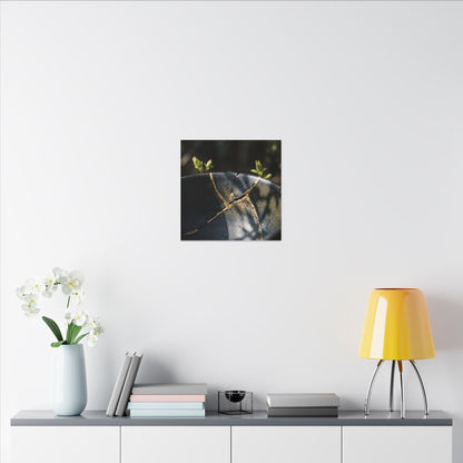 Seijaku Broken Pottery Canvas Art - Dark Japandi Shadow Zen