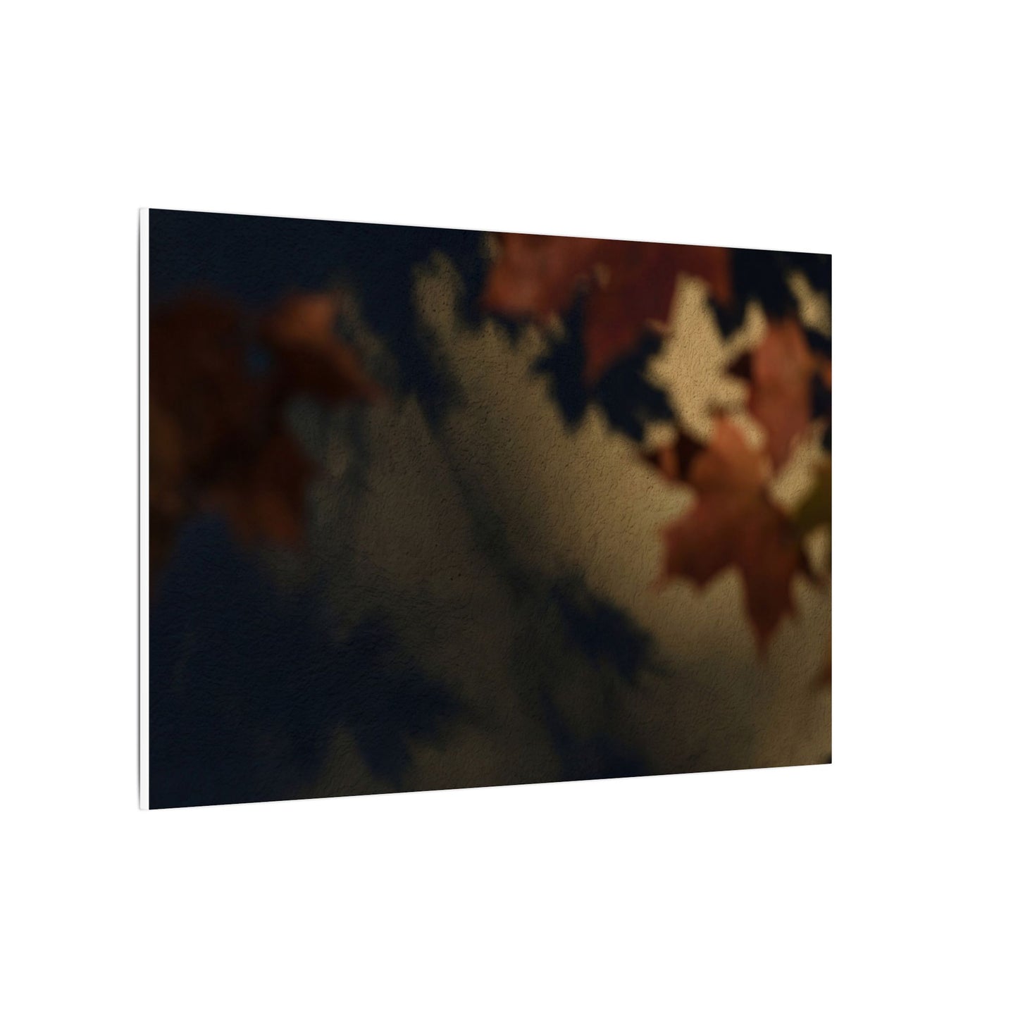 Shadow Play Canvas Art | Autumn Dark Japandi Moody Minimal Art