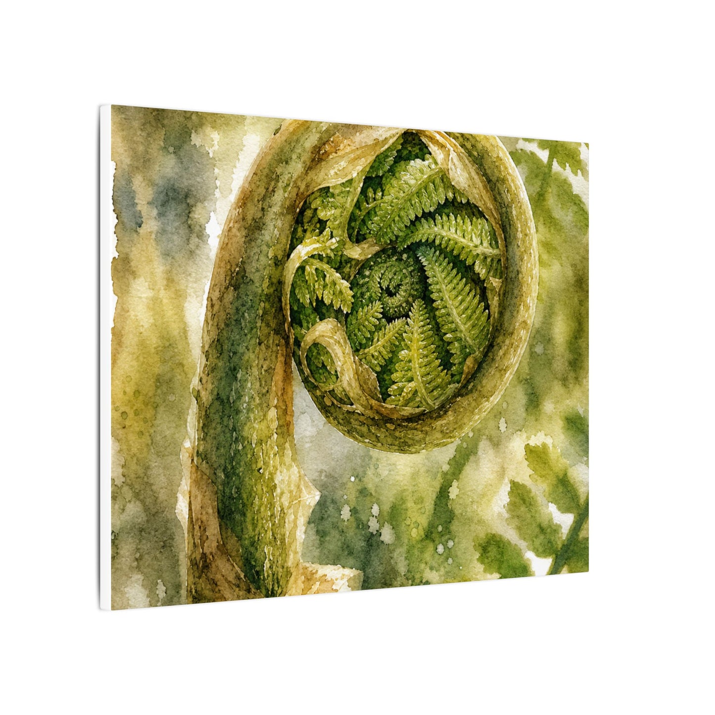 Japandi Fern Unfurling in Dappled | Watercolor Canvas Art