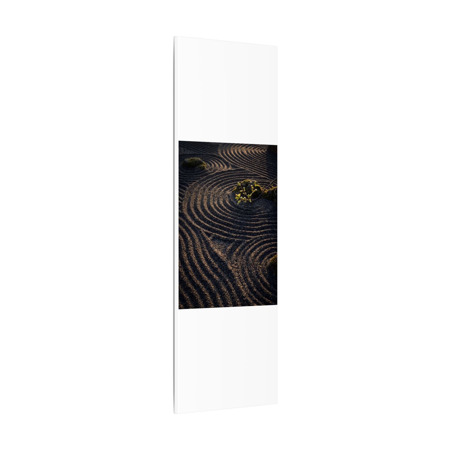 Spring Rock Garden Shadow Zen Canvas Art | Atmospheric Decor