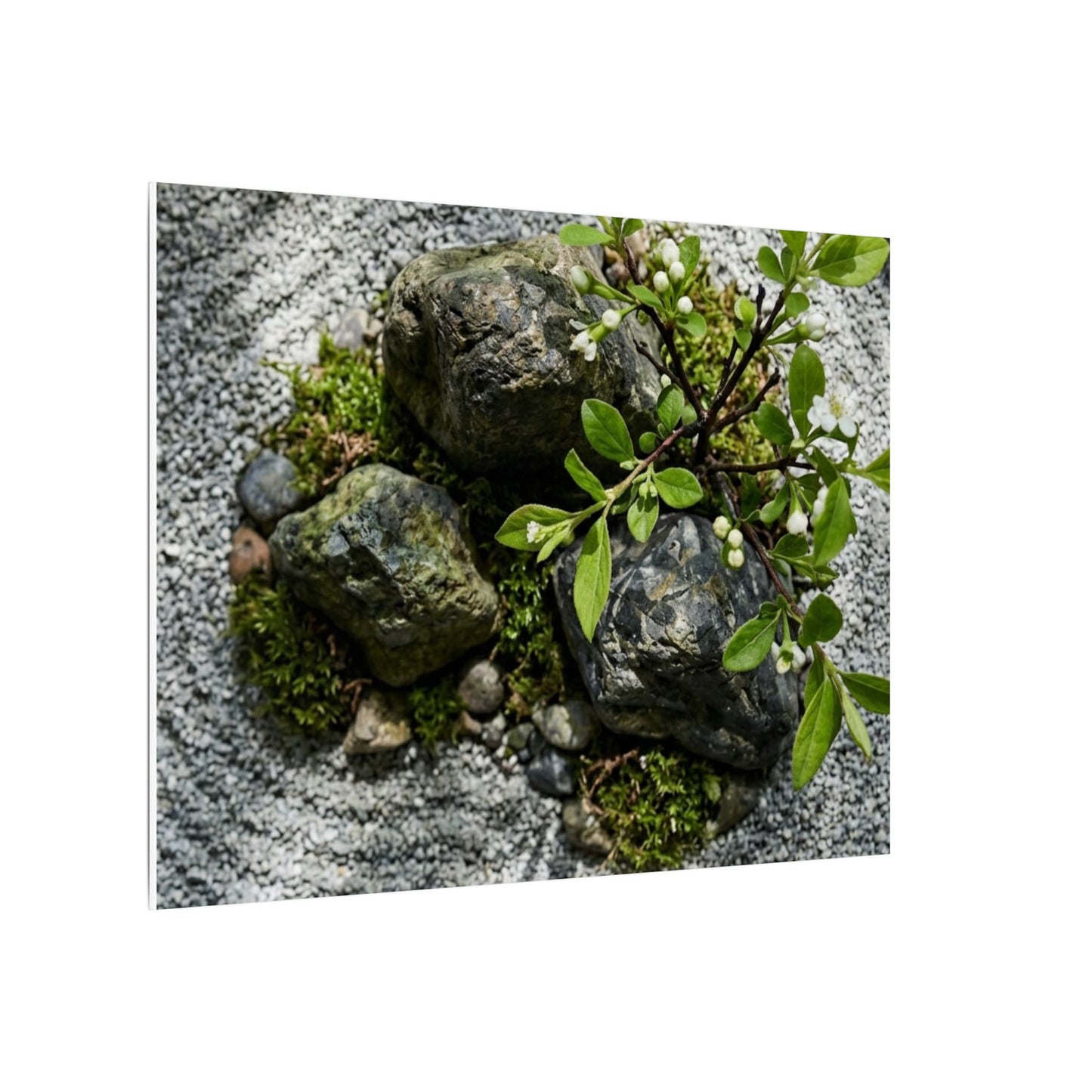 Zen Ceramic Bowl in Dappled | Karesansui Canvas Art