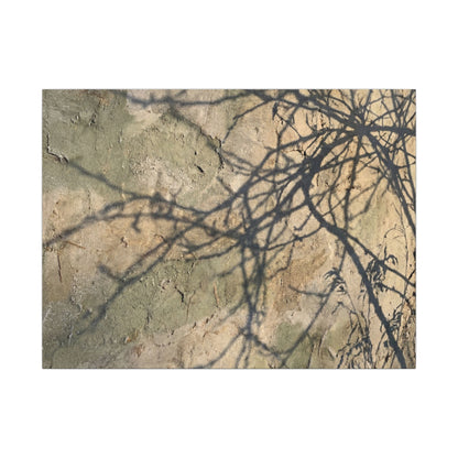 Japandi Shadow Play in Golden Hour | Texture Canvas Art Art Print