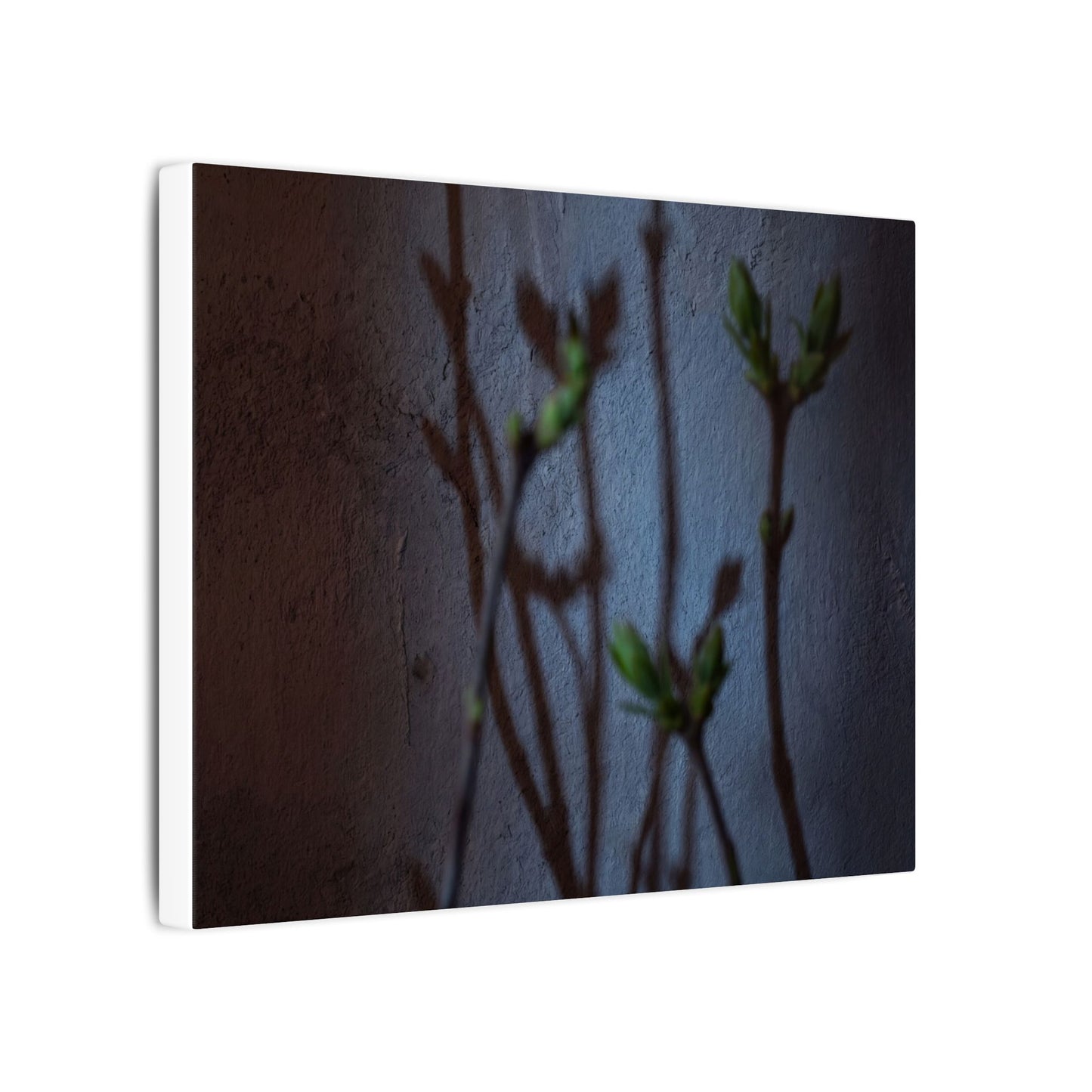 Shadow Play Spring Canvas Art | Dark Japandi Sophisticated Design