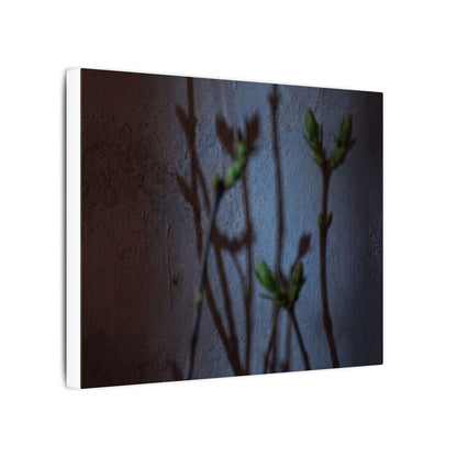 Shadow Play Spring Canvas Art | Dark Japandi Sophisticated Design