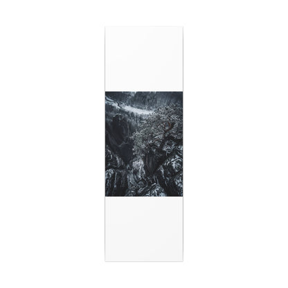 Dark Japandi Pine Tree in Dappled | Dark Texture Canvas Art