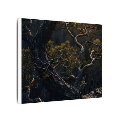 Moody Pine Tree Canvas Art - Moody Minimal Dark Japandi