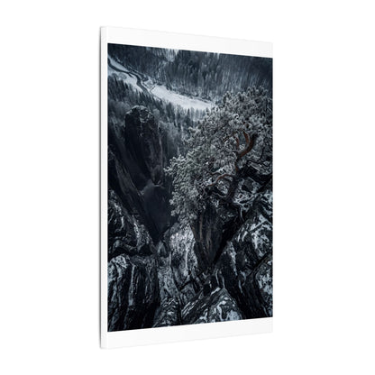 Dark Japandi Pine Tree in Dappled | Dark Texture Canvas Art