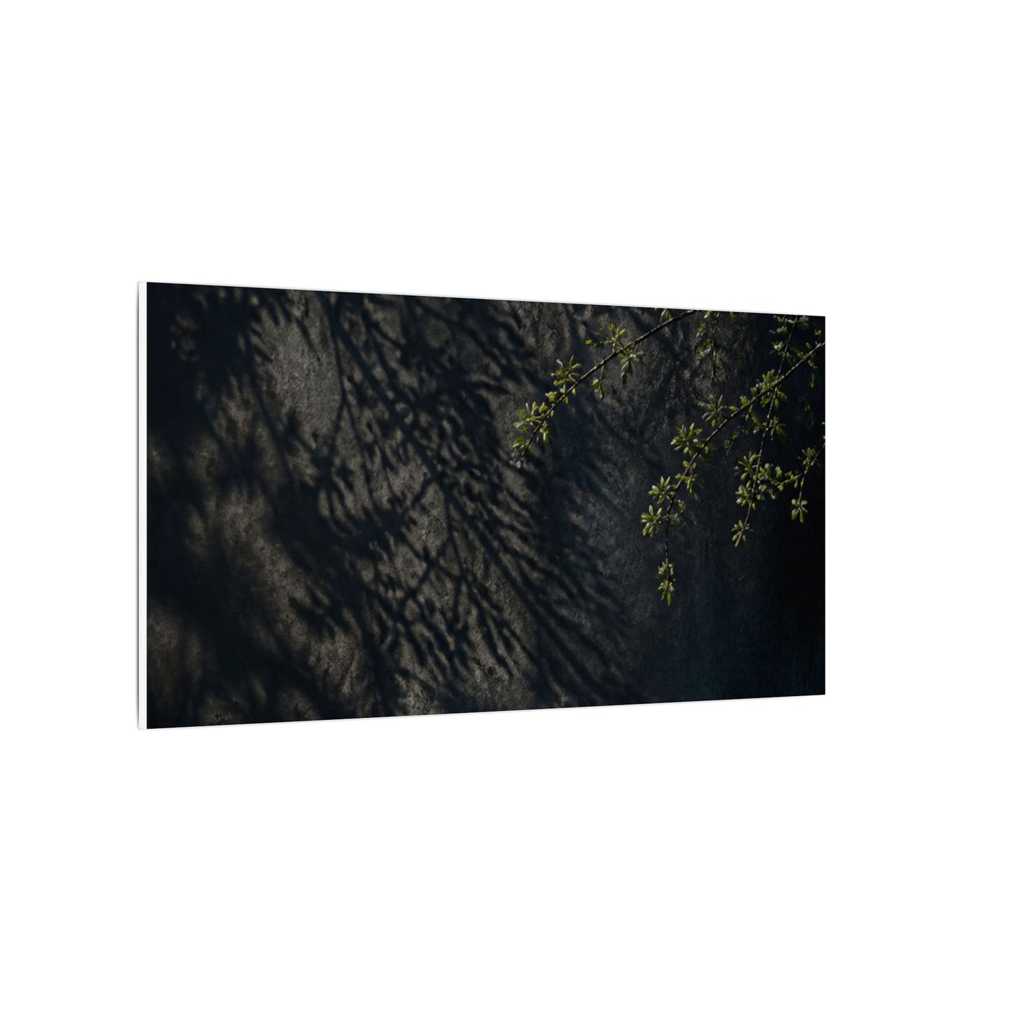 Overcast Shadow Play Canvas Art - Dark Japandi Seijaku