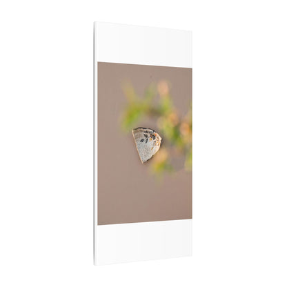 Ceramic Bowl Canvas Art | Spring Japandi Japanese Pattern Art