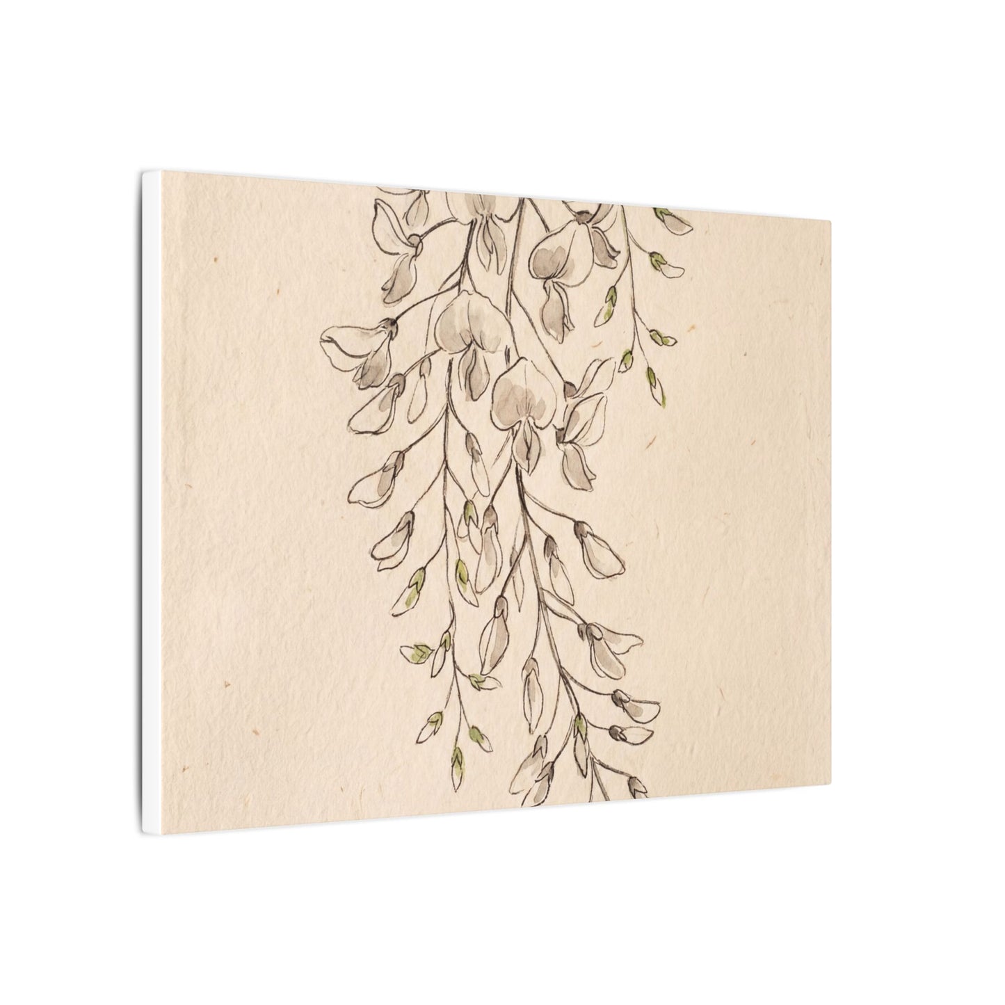 Japandi Wisteria in Golden Hour | Minimal Line Canvas Art