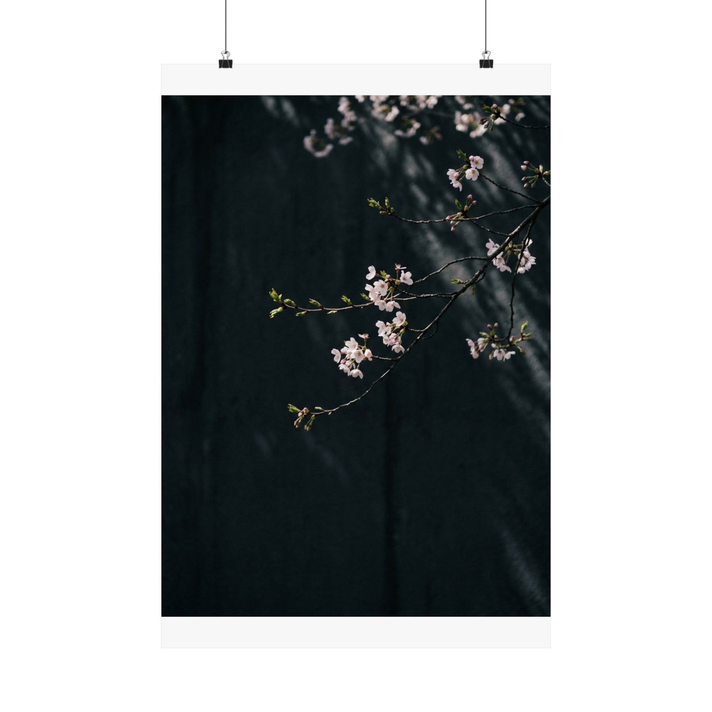 Cherry Blossom Wall Art Print | Spring Dark Japandi Moody Minimal Art Art Print