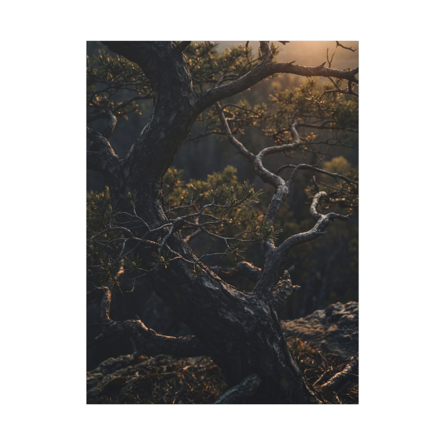 Moody Pine Tree Canvas Art - Moody Minimal Dark Japandi