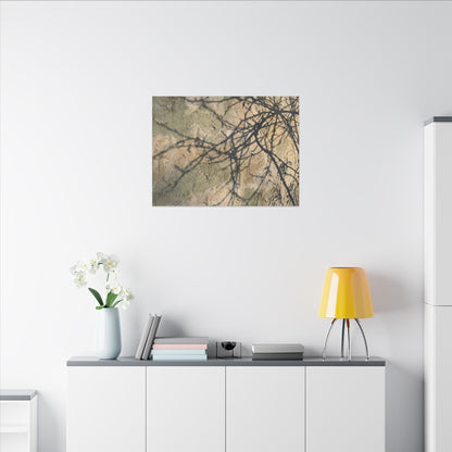 Japandi Shadow Play in Golden Hour | Texture Canvas Art